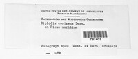 Image Associated With the Occurence